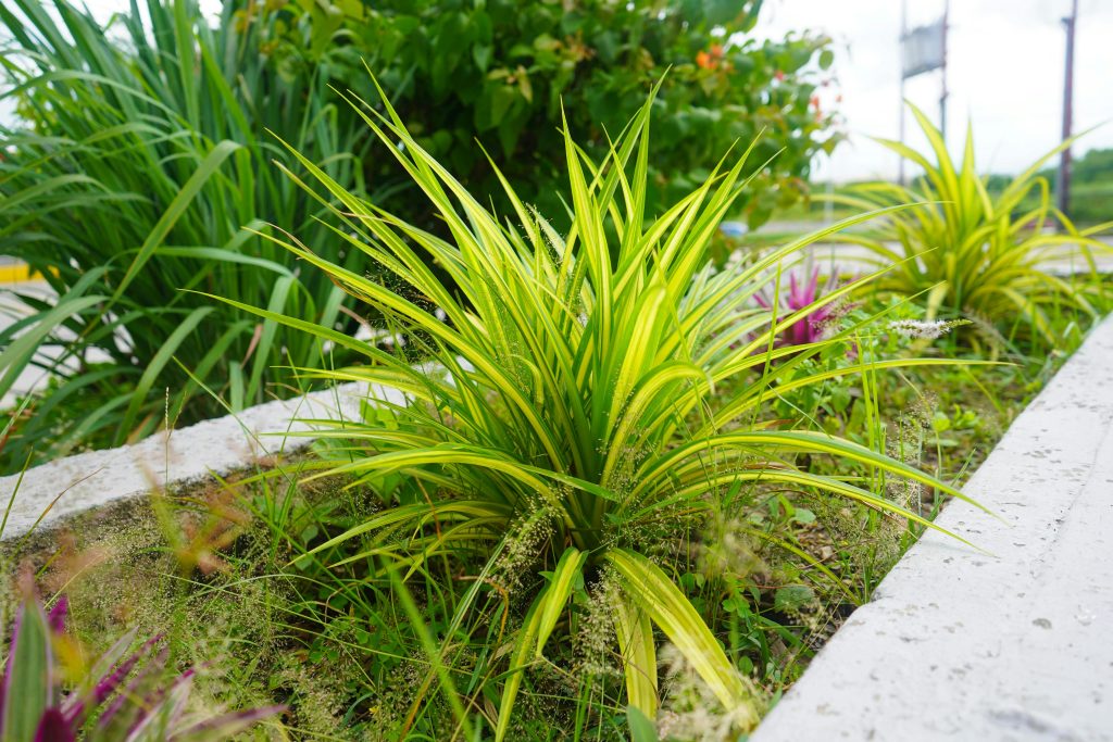 Aménagement paysager - Jardinnaturel